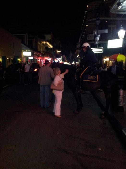 New Orleans Police Horse on Bourbon Street