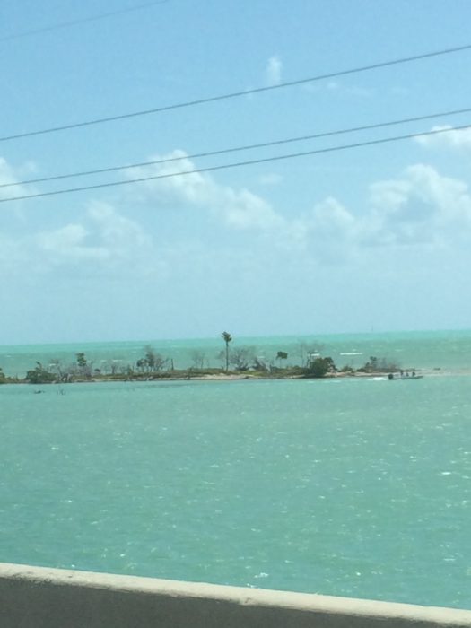 view from the overseas highway